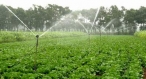 尊龙凯时官网网页版PE灌溉管
